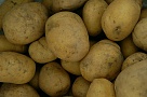 Власти Тувы закупили семенной картофель для распределения среди малообеспеченных и многодетных семей